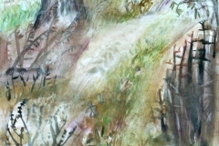 LEAD Technologies Inc. V1.01