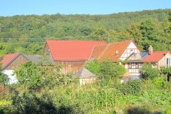 IMG_0578