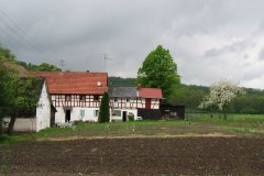 IMG_1534
