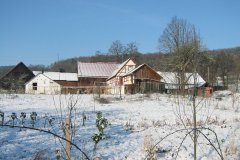 IMG_3958