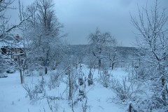 IMG_4530