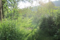 IMG_5254